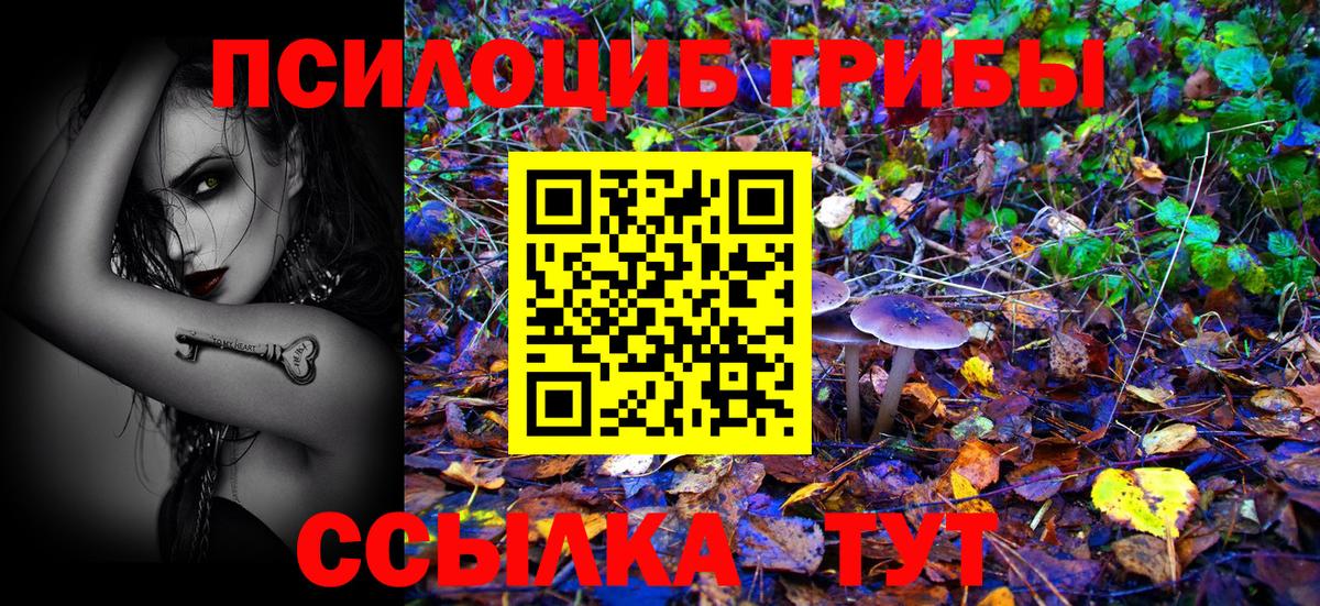 Знаменск  Галлюциногенные грибы Psilocybine cubensis  Вход с VPN 