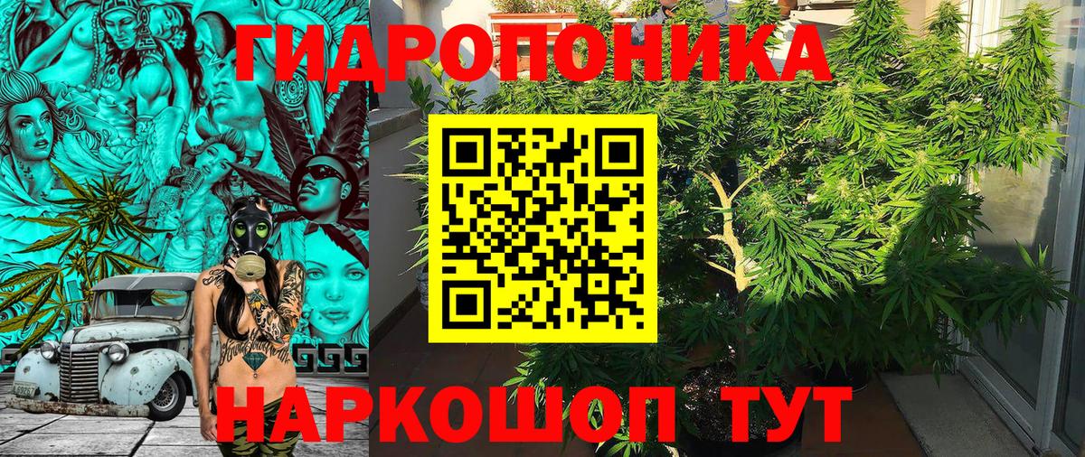 Конопля гибрид  Вход с VPN  Знаменск  МАРИХУАНА ГИДРОПОН  МАРИХУАНА тримм 